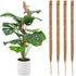 pcs Monstera moss rods for indoor plants, bendable plant holder