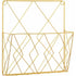 Metal Wall Mounted Newspaper Rack, Magazine Storage Organizer - Gold, Compatible with Standard Sizes
