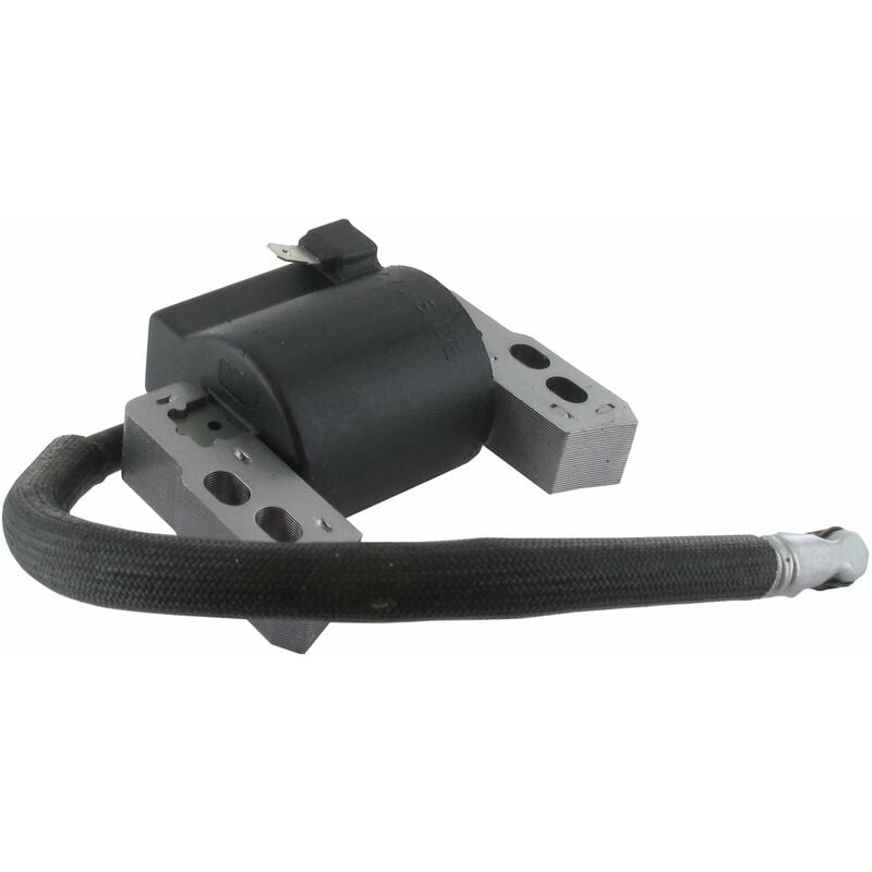 BRIGGS & STRATTON 796964 Ignition Coil