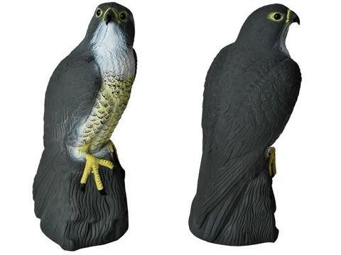 Scarecrow Eagle - Scares away Birds