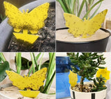 20-pack Fly Trap Flycatchers, Effective Butterfly Control