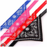Blue Dog Cat Collar Bandana Scrunchie Scarf