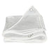 Transparent Reinforced Protective Tarpaulin 350g per Square Meter, 2 x 3M