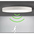 LED Ceiling Light Round Panel Ceiling Lamps Modern Ultra Thin LED Lamp Cool White 6000K Kitchen Room Living Room Balcony