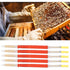 25 Pcs Beekeeping Larvae Grafting Needles Queen Bee Rearing Tool Beekeeping Equipment