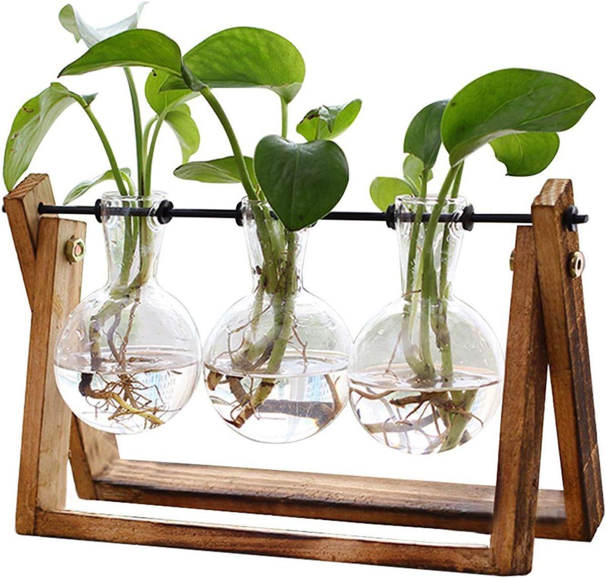 3 Bulb Vase Plant Terrarium with Wooden Stand, Glass Air Planter Hydroponics Tabletop for Home Garden Office Decoration