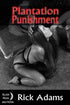 House Of Dasein Plantation Punishment By Rick Adams 2015 Erotic Domination - M/F Male - Paper Back