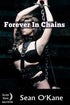 House Of Dasein Forever In Chains By Sean O&