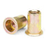 Rivet Nuts, 100Pcs M5 Rivet Nuts,Zinc Plated Finish Carbon Steel Flat Head Rivnut Threaded Insert