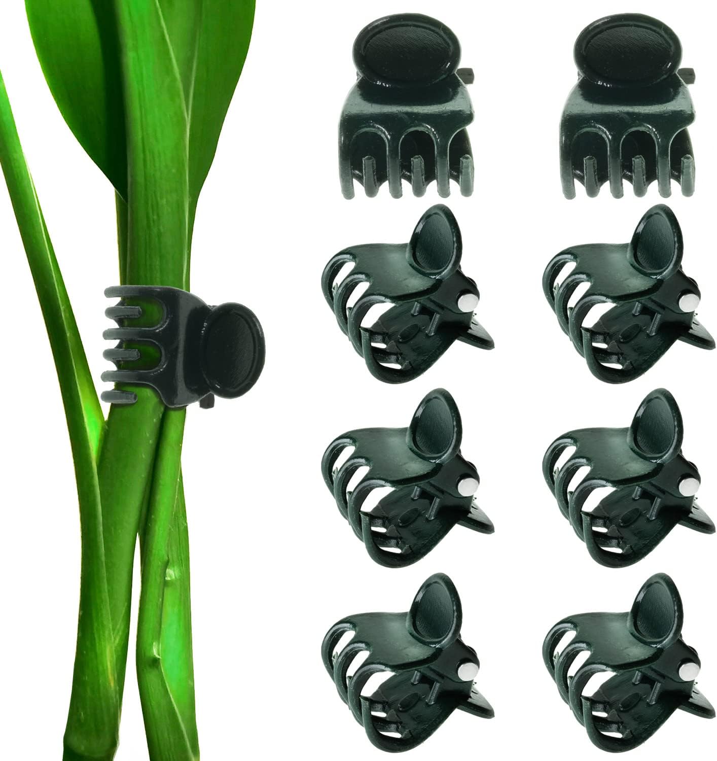 Plant Clips 100Pcs Orchid Clips Orchid Support Clips Vine Clips Plant Clips for Support Flower Orchid Vine (100PCS)
