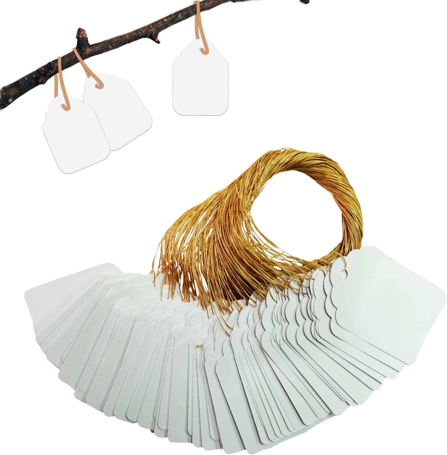 Plant Hanging Tags 100pcs Tags with String Reusable Plant Labels Markers Plastic Garden Signs Garden Markers for Outdoor (2 Inch, White)