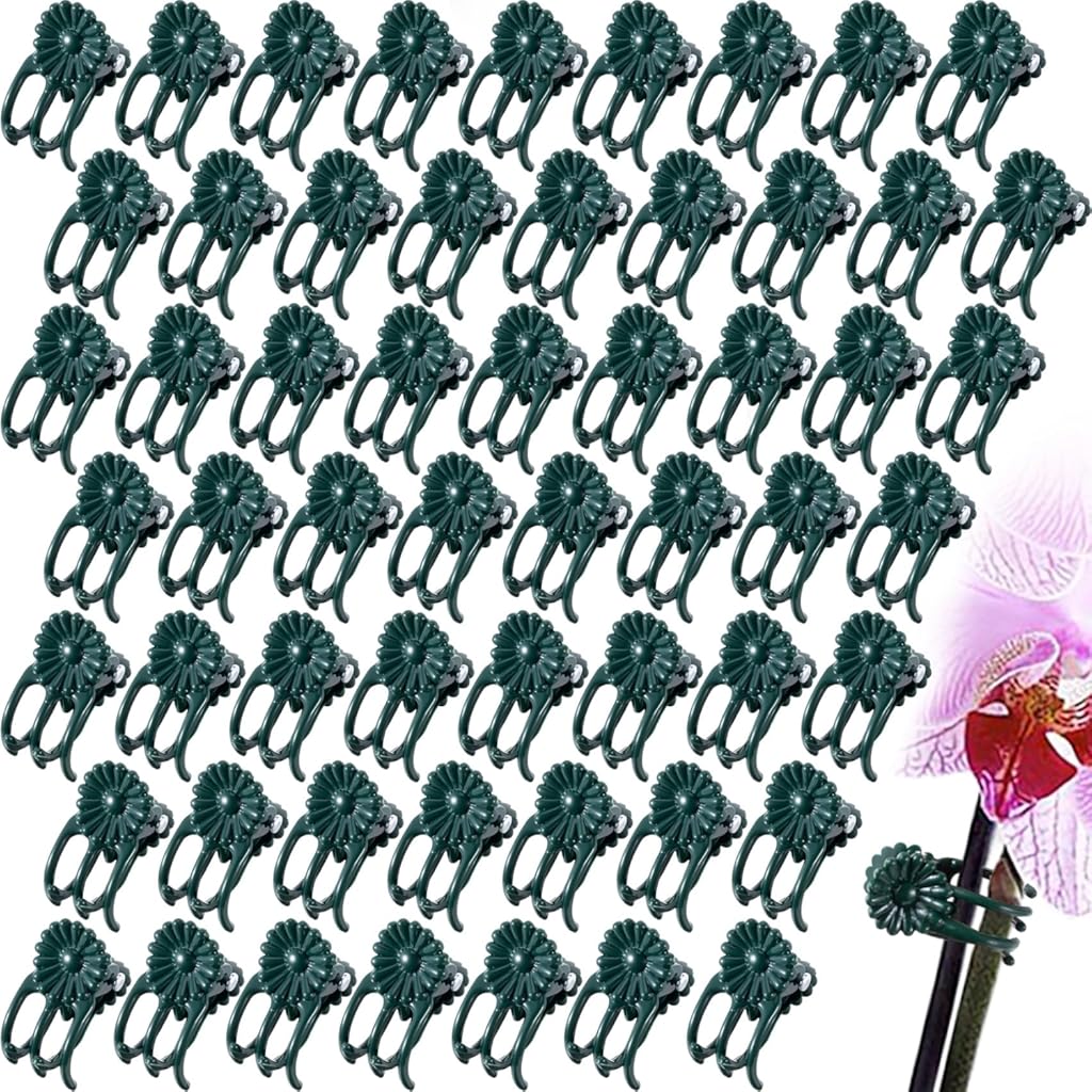 60pcs Orchid Clips for Plants Support, Plant Orchid Support Clips, Vine Tools Supports for Garden Climbing Stems Vines Climbing Plants- Dark Green