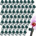 60pcs Orchid Clips for Plants Support, Plant Orchid Support Clips, Vine Tools Supports for Garden Climbing Stems Vines Climbing Plants- Dark Green