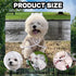 Clear Dog Rain Poncho for Small Medium Dogs - Heavy Waterproof Raincoat with Hidden Leash Hole & Adjustable Snaps - Transparent, Pet Hooded Cape for Bichon Poodle (4-8lbs)