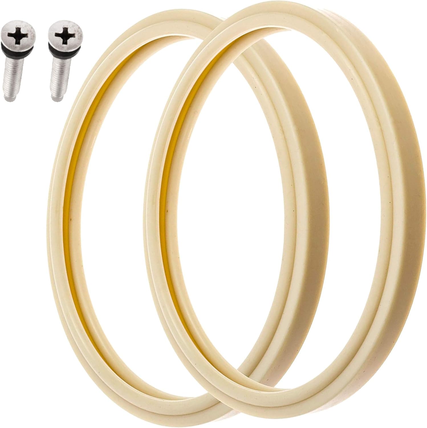 Pool light lens gasket and stainless pilot screw set