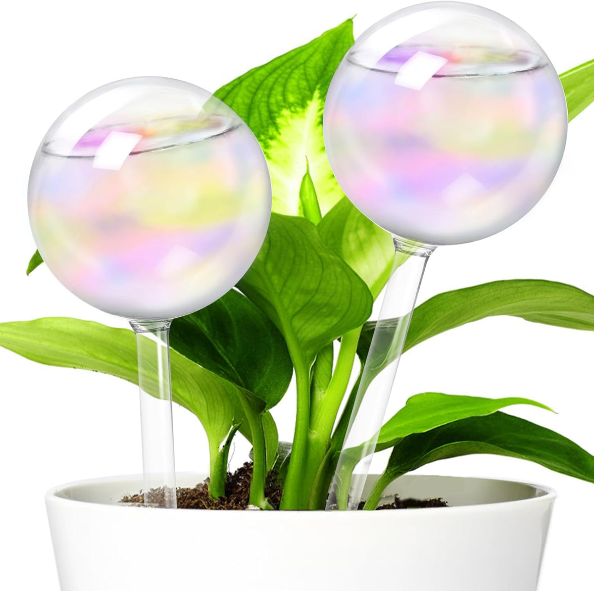 2 Pcs Iridescent Self Watering Globes,Rainbow Plant Watering Insert,Automatic Plant Waterer Glass Bulbs,Clear Glass Plant Water Globes for Indoor and Outdoor