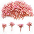 1500+ Mini Pink Dried Babys Breath Flowers, 50pcs Baby Breath Bouquet, 6&