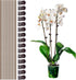10Pcs Plant Support Stakes with 15Pcs Plant Clips, 15.75inch Tall Bendable Single Stem Sticks Orchid Clips Brown Helps Growth for Indoor Outdoor Flowers Rose Amaryllis