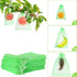 50 Pcs Fruit Protection Bags,8&
