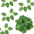 50pcs Artificial Green Leaves, Rose Leaves Artificial, Bulk Fake Leaves Greenery Leaves for DIY Wedding Birthday Party Bridal Shower Bouquets Centerpieces Home Decorations