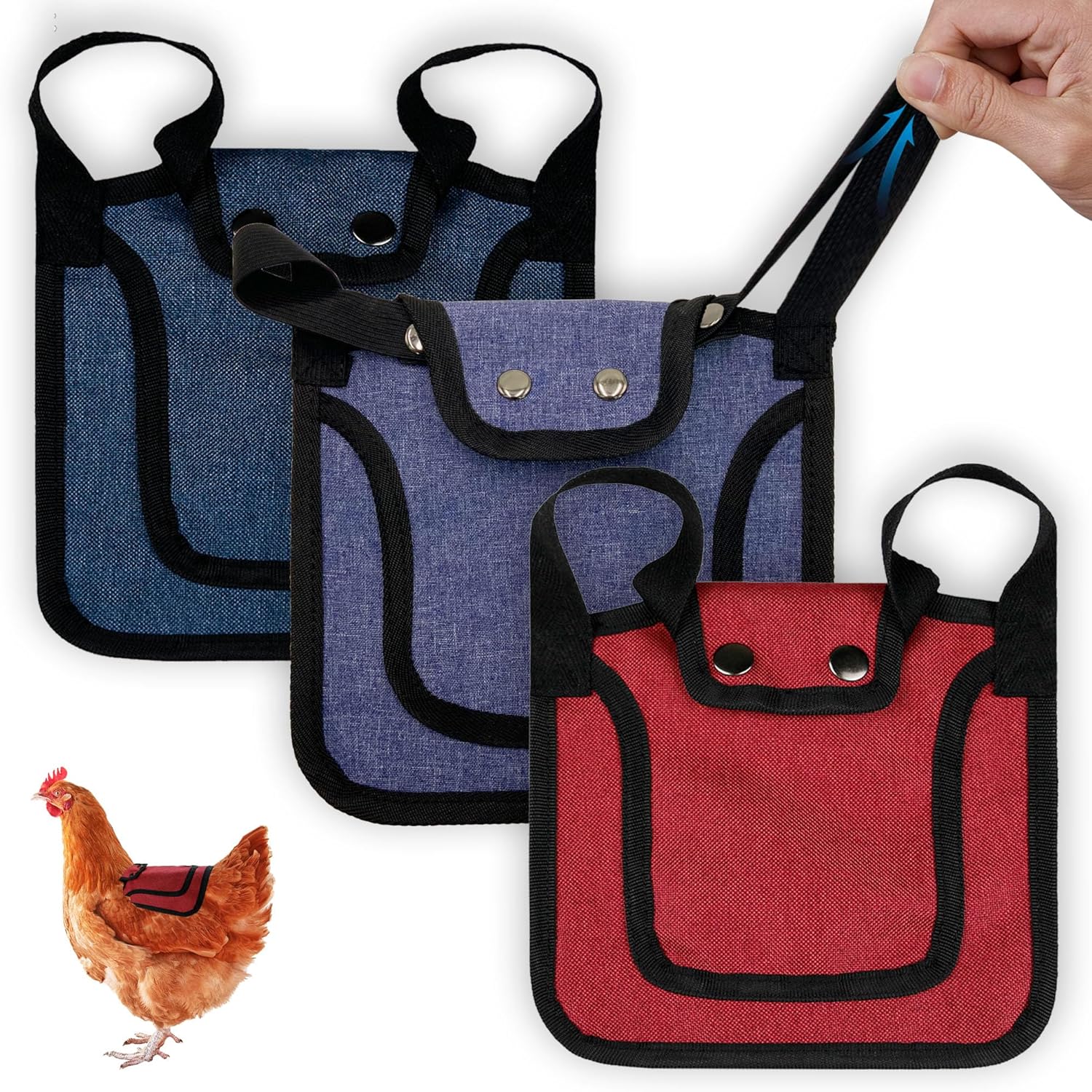 3 Piece Chicken Saddle Set Red/Blue/Purple Elastic Strap Back and Side Protection Poultry Accessories