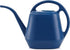 1 Gallon Blue Watering Can for Indoor Outdoor Plants
