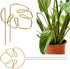 2 Pack Gold Plant Supports Indoor Outdoor Plant Stakes Clips Plant Stand for Plant Support