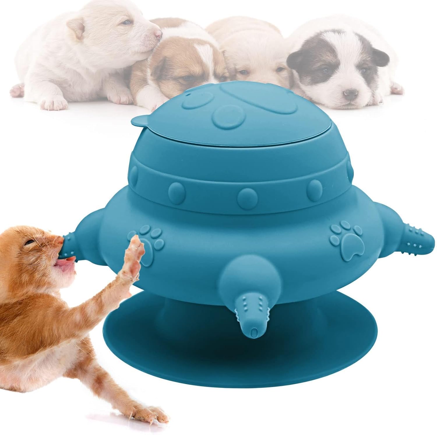 4 Teat Puppy Kitten Feeder Blue for Newborn Pets