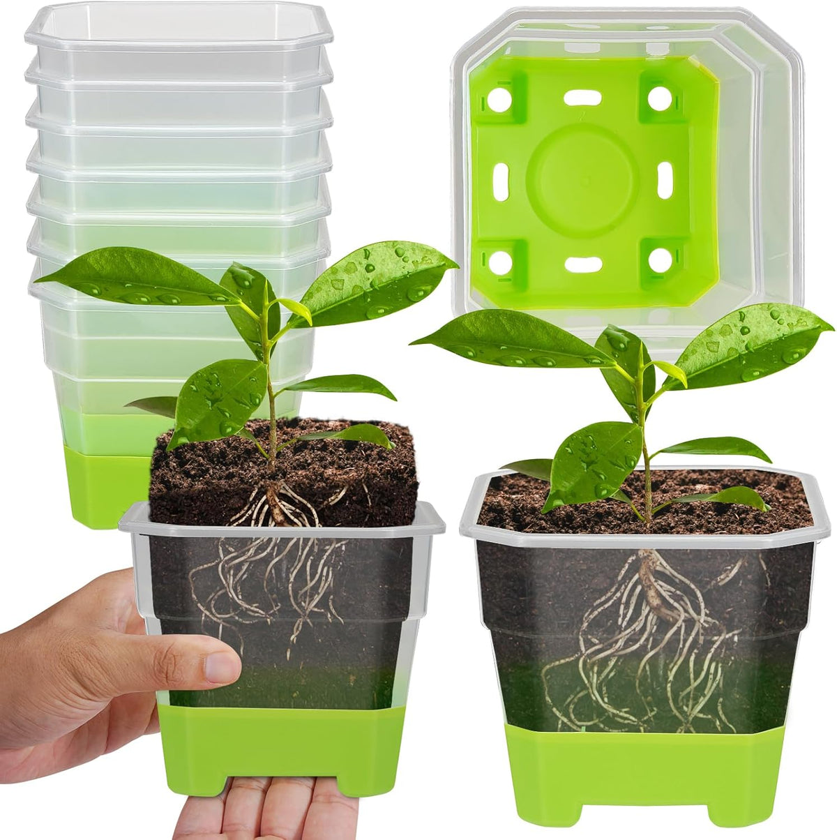 12 Pcs Reusable Green Seedling Starter Pots - Mini Succulent Planters for Seed Germination