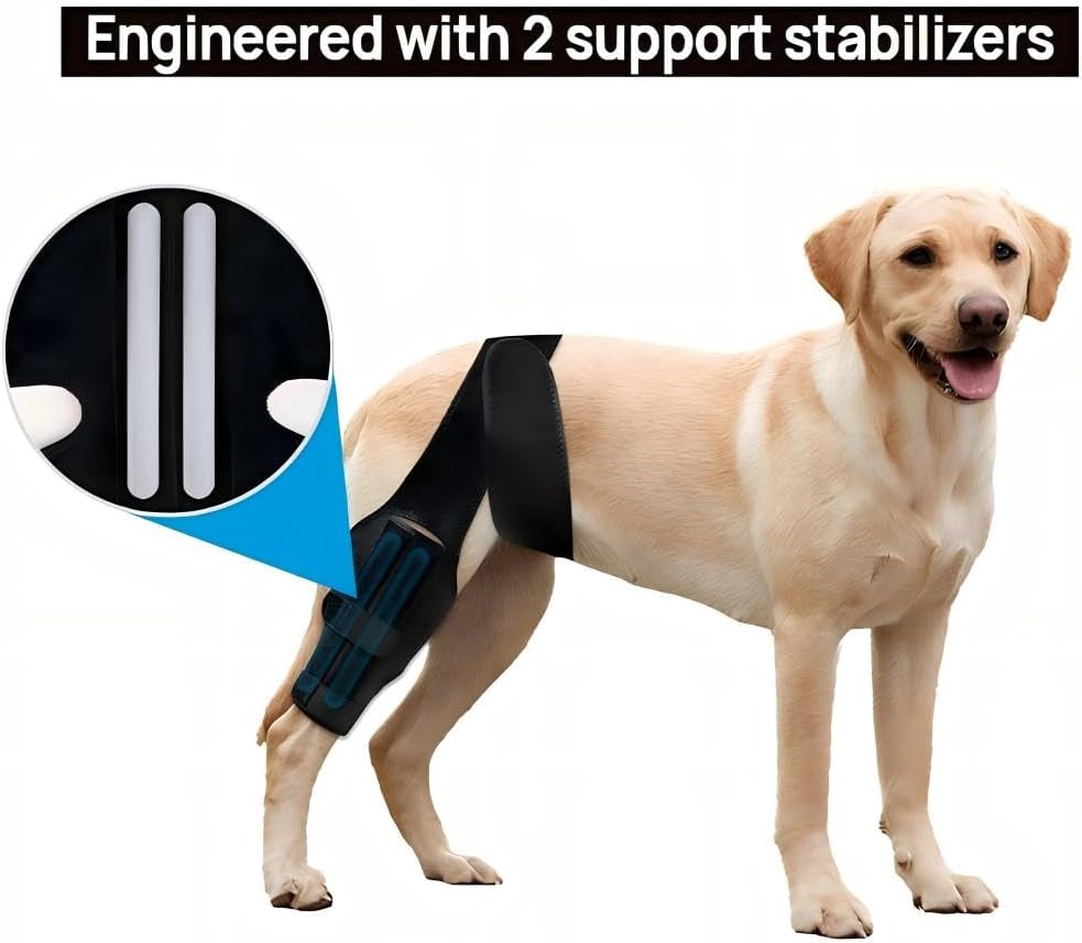 Dog Knee Brace for Torn ACL Hind Leg，Comfortable and Adjustable Support Brace with Two Stabilizer，Dog Leg Braces for Back Leg with Extra Support，Arthritis Relief and Surgery Recovery (S)