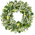 Green Eucalyptus Leaves Front Door Wreath,  24 Inch Artificial Spring Summer Greenery Wreath Front Door Decoration Boxwood with Big Berries Farmhouse Outdoor Year-Round - Indoor/Outdoor