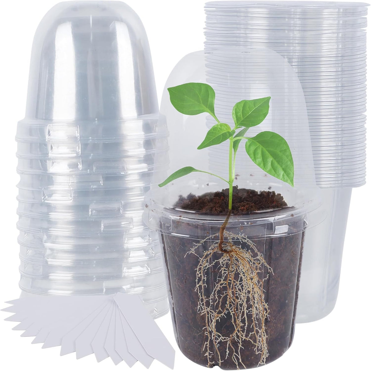 36 Set Nursery Pots with Humidity Dome, Clear Nursery Pots for Plants, Seed Starting Pots with Drainage Holes & Plant Labels for Vegetables Flowers Garden Plants