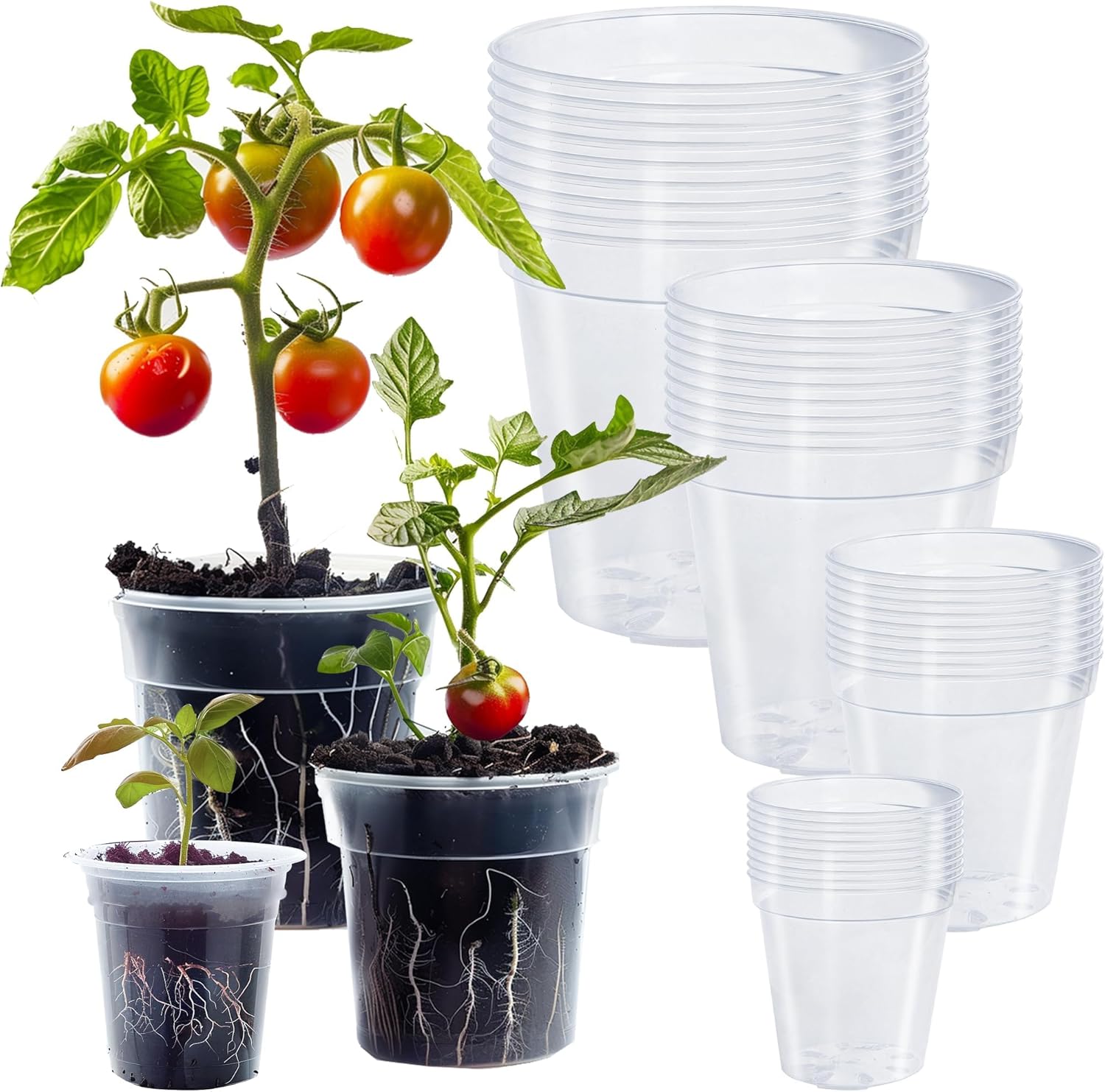 36 Pack 4/5/6/7 Inch Clear Nursery Pots for Plants, Plant Pots with Drainage Holes, Transparent Seedling Pots for Seed Starters Planter Flower