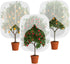 3pcs Fruit Tree Netting with Zipper and Drawstring,2.62 * 3.28 Ft Bird Garden Netting for Garden Protection,Cover for Blueberry Tomato Strawberry and Plants Protection from Insect Squirrels Birds