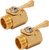 Heavy Duty Brass Garden Hose Shut Off Valve, 3/4 Inch, 2-Pack with 2 Hose Washers