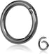 10Pack 1 Inch Metal Spring O Rings Clip Keychain, Round Carabiner Clips Keyrings Snap Hook Buckle, Purse Shoulder Bag Chain Rings Clip Replacement Paracord Keychain Lanyard Leather DIY Crafts (Black)