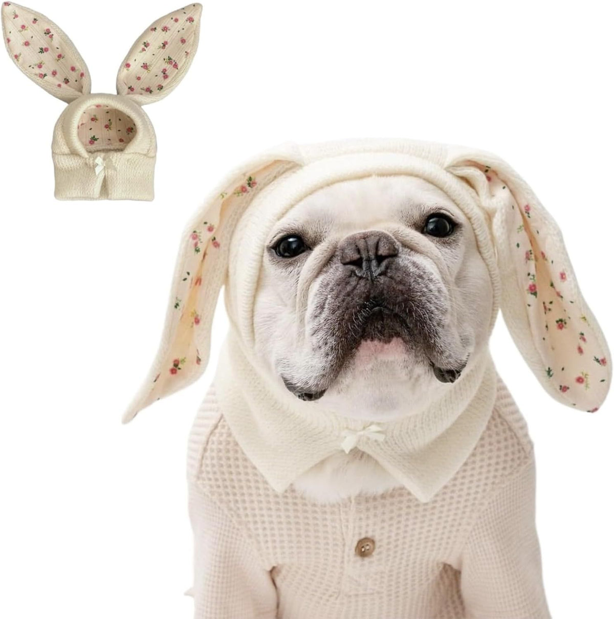 Small Dogs Cats Knitted Snood Cute Hat with Rabbit Ears for Winter Warm, Pet Scarf Headwear Accessory for Photo (White,L)