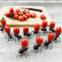 36pcs Party Ants & orking Ants Series Fruit Picks for Kids Lunch Bento Box, Party Fruit Platter, Bar Cocktail Decor (36 pcs)