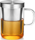 16.9 Oz Borosilicate Glass Tea Mug Cup Tea Glasses with Stainless Steel Infuser & Lid, Loose Leaf Glass Tea Cup Teacup 430mL(Use Capacity)