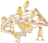 Wooden Chick Perch Stand, Pine Roosting Bar, Jungle Gym Perch Toys for Chicken Coop & Brooder, Bird Perch for Baby Chicks & Parrots (Large)