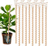 10pcs Electroculture Plant Stakes, 13.5&