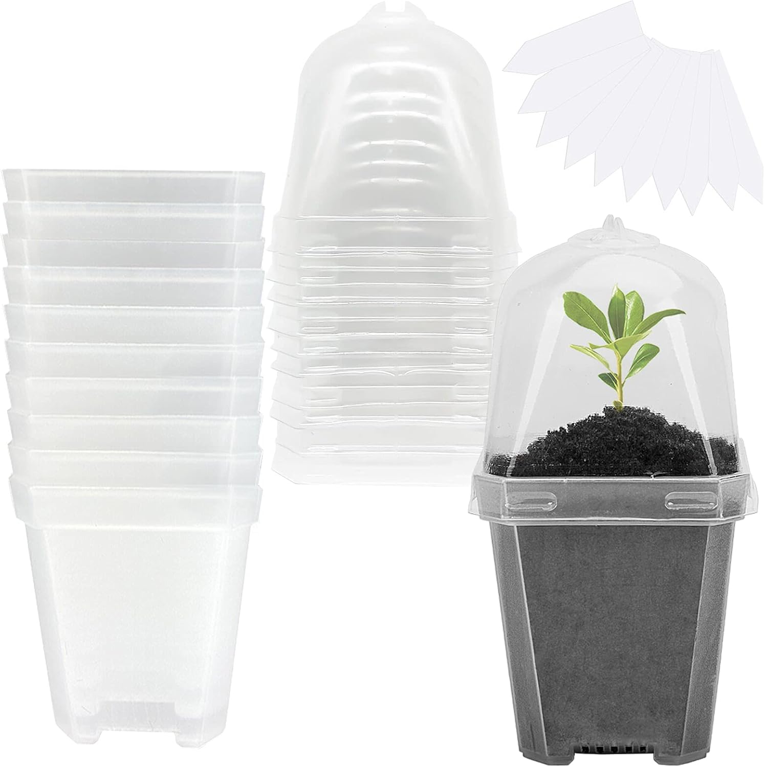 10PCS Clear Plant Nursery Pots with Humidity Dome - 3" Plastic Gardening Pot with Labels, Durable Plastic Plant Container for Seedlings/Vegetables/Succulents/Cuttings