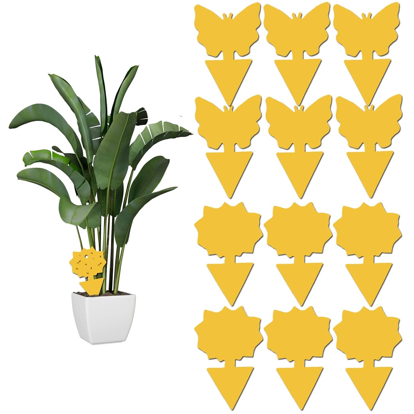 12 pack Sticky Fruit Fly and Fungus Gnat Trap Yellow Traps Insect Killer for Houseplant indoor outdoor plants 12pack