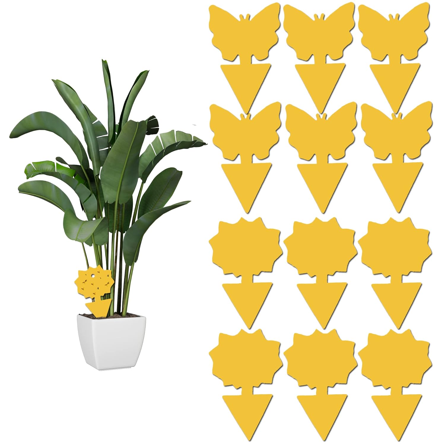 12 pack Sticky Fruit Fly and Fungus Gnat Trap Yellow Traps Insect Killer for Houseplant indoor outdoor plants 12pack