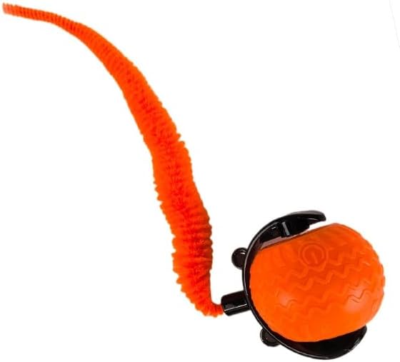 Interactive Cat Toy Ball for Indoor Cats