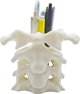 Unique Spine Pen Holder for Desk, Pencil Holder Desk Organizers, Office Supplies Decorations Idea Gift for Doctors, Nurses, Chiropractors