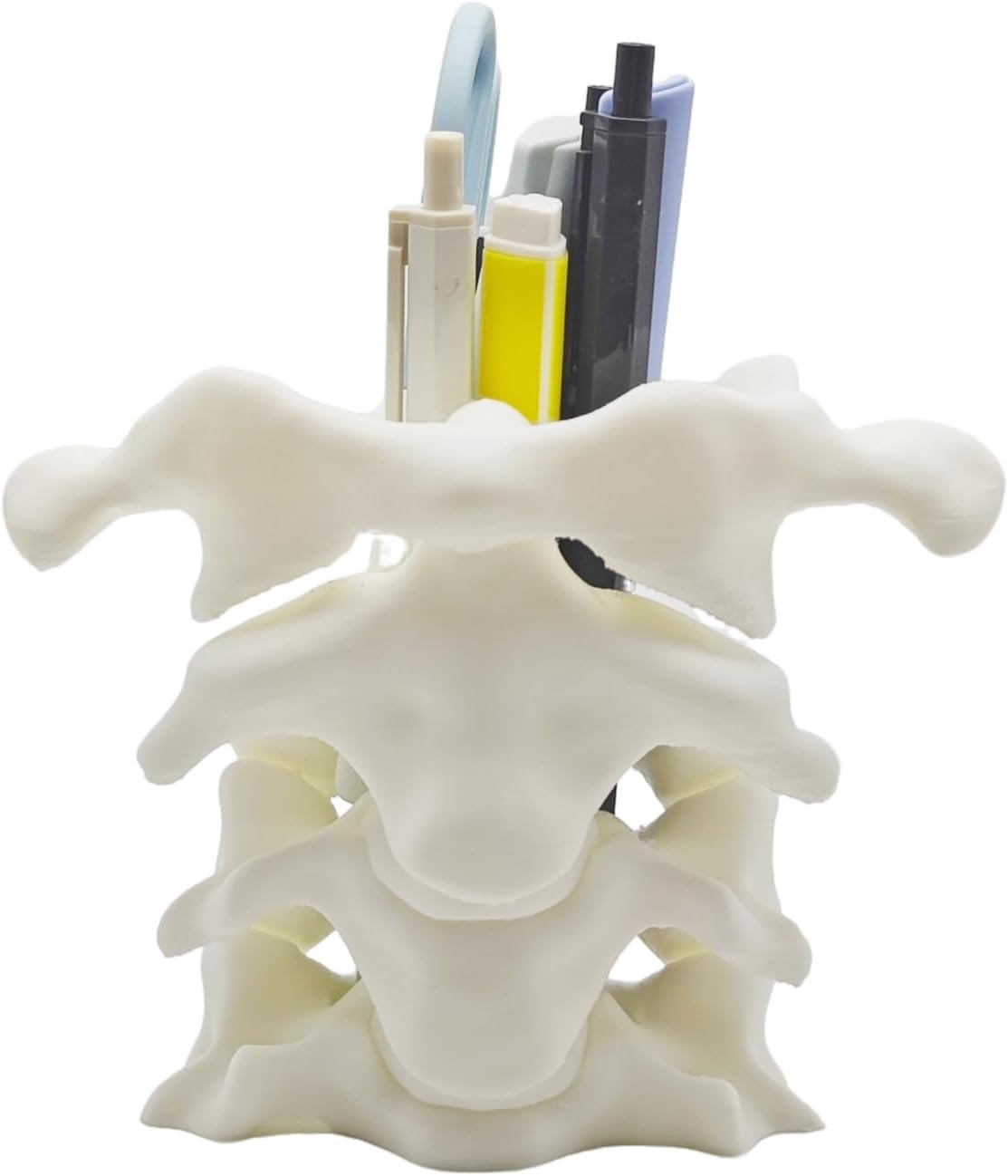 Unique Spine Pen Holder for Desk, Pencil Holder Desk Organizers, Office Supplies Decorations Idea Gift for Doctors, Nurses, Chiropractors