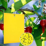 Dual-Sided Yellow Sticky Traps for Capturing Flying Plant Insects Like Fungus Gnats, Flying Aphid, Whiteflies, Leaf Miners, Other Flying Plant Insects (6x10 Inches, Twist Ties Included) (60-Pack)