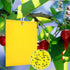 Dual-Sided Yellow Sticky Traps for Capturing Flying Plant Insects Like Fungus Gnats, Flying Aphid, Whiteflies, Leaf Miners, Other Flying Plant Insects (6x10 Inches, Twist Ties Included) (60-Pack)