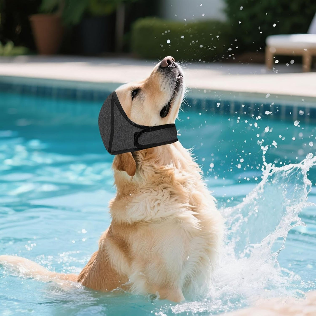 Dog Swimming Cap, Waterproof Ear Protection for Small, Medium & Large Dogs, Soft Comfortable Swim Hat for Baths, Pool and Beach Time (Grey, Large)